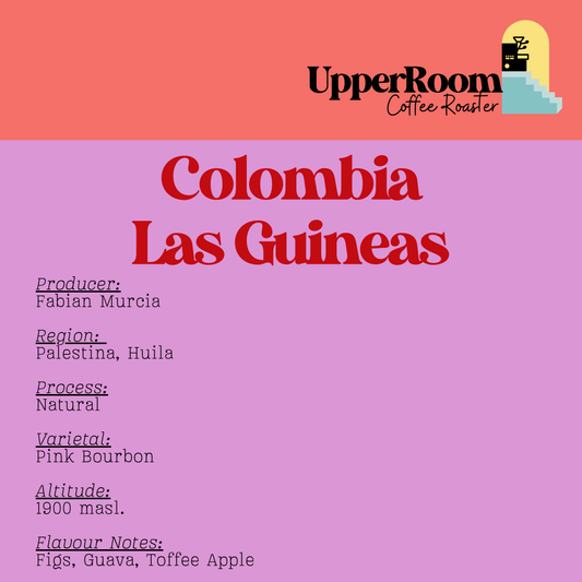Colombia Las Guineas