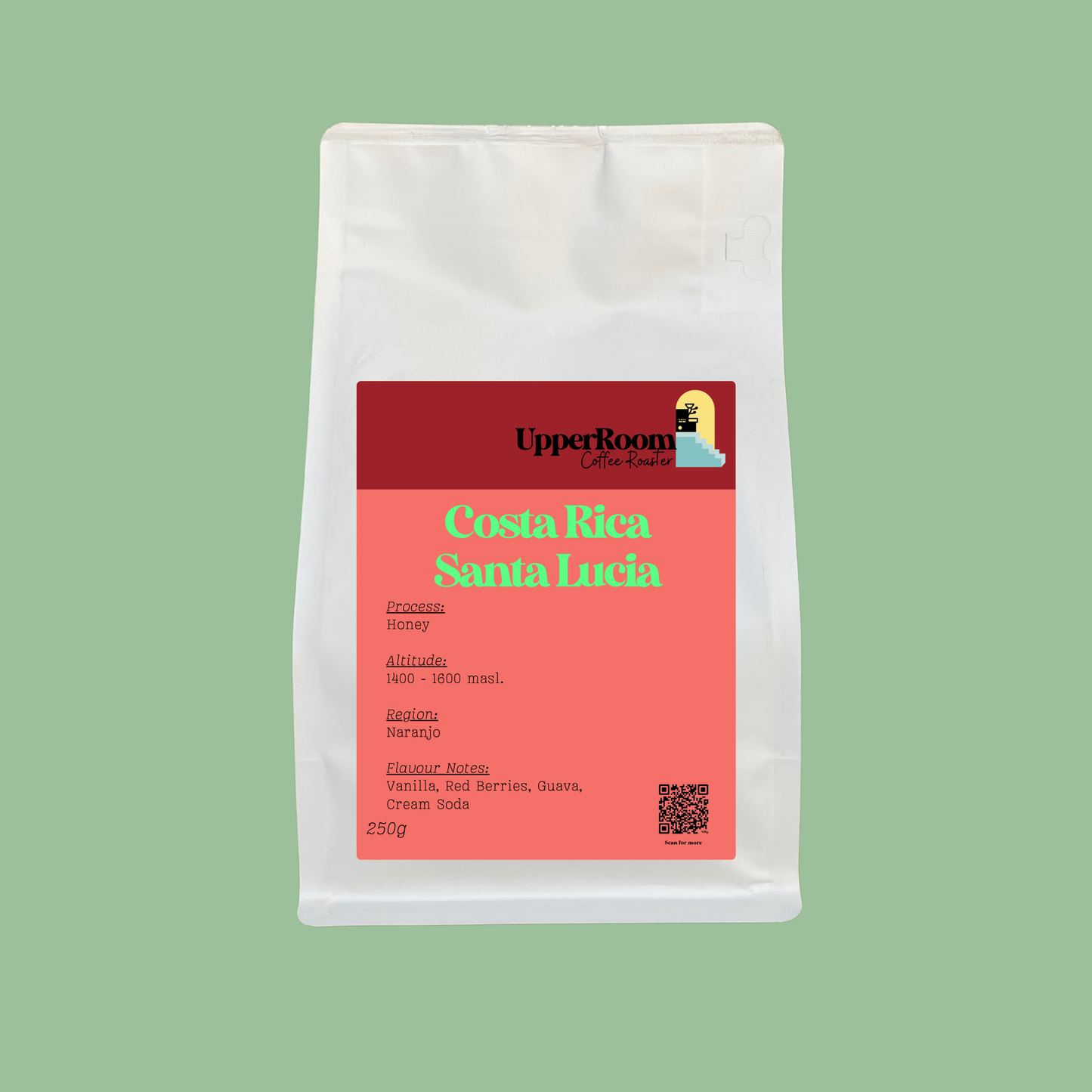 Costa Rica Santa Lucia