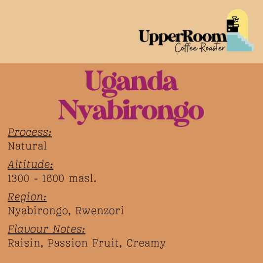 Uganda Nyabirongo